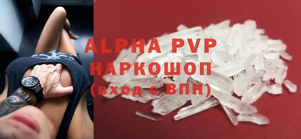 СК Алексин