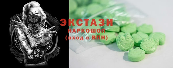 СК Алексин