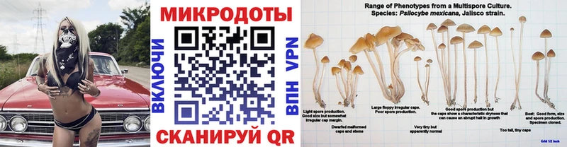 Псилоцибиновые грибы мухоморы Биробиджан