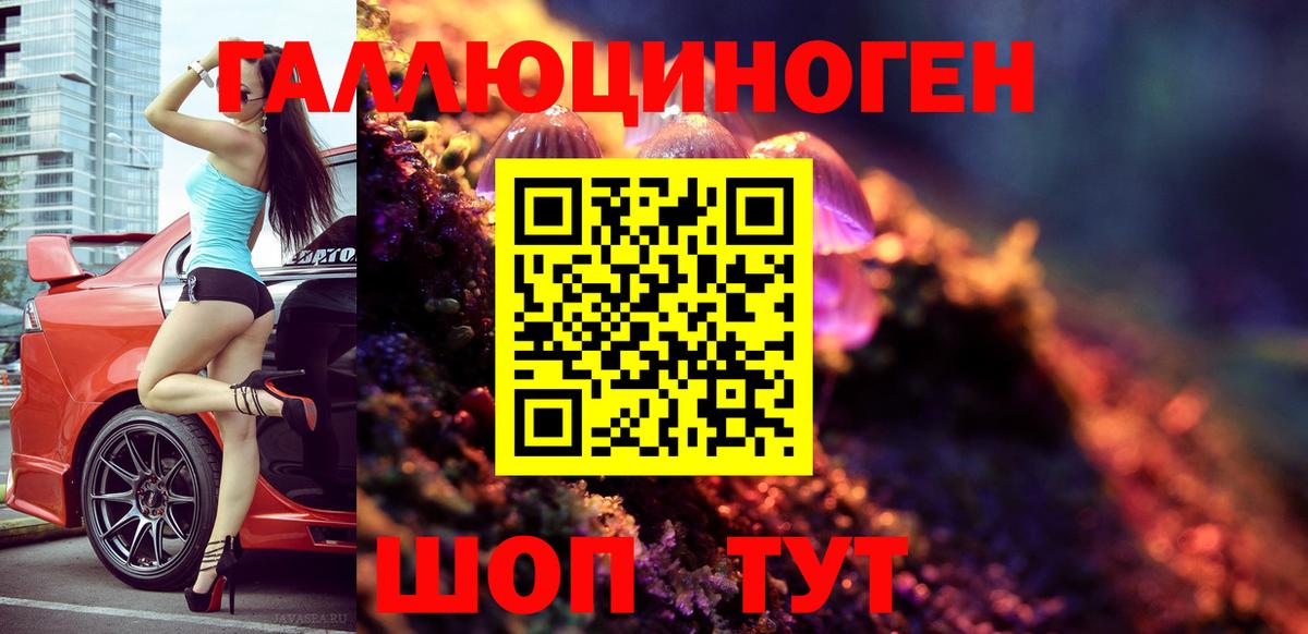 Биробиджан  Галлюциногенные грибы Psilocybine cubensis  Вход с VPN  Галлюциногенные грибы ЛСД 